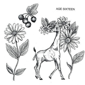 Illustration of a deer surrounded by flowers and berries with 'Age Sixteen' text.