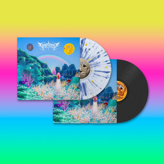A vinyl LP of Fire-Toolz 'I am upset because I see something that is not there.' with a colorful cover featuring a fantasy landscape and a vinyl record inside.