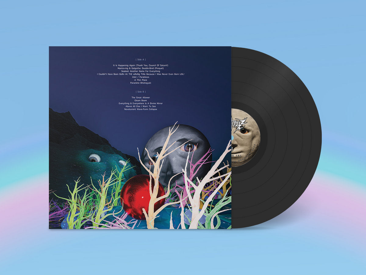 The back cover Fire-Toolz 'I Am Upset Because I See Something That Is Not There.' LP, with a black vinyl record showing from behind the cover.