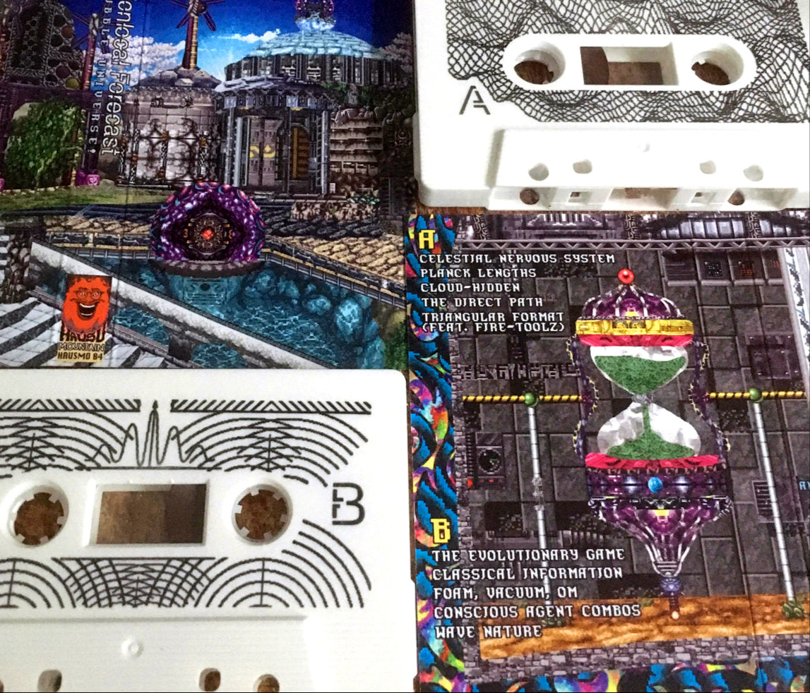 Nonlocal Forecast cassette tapes laying among their j-card artwork.