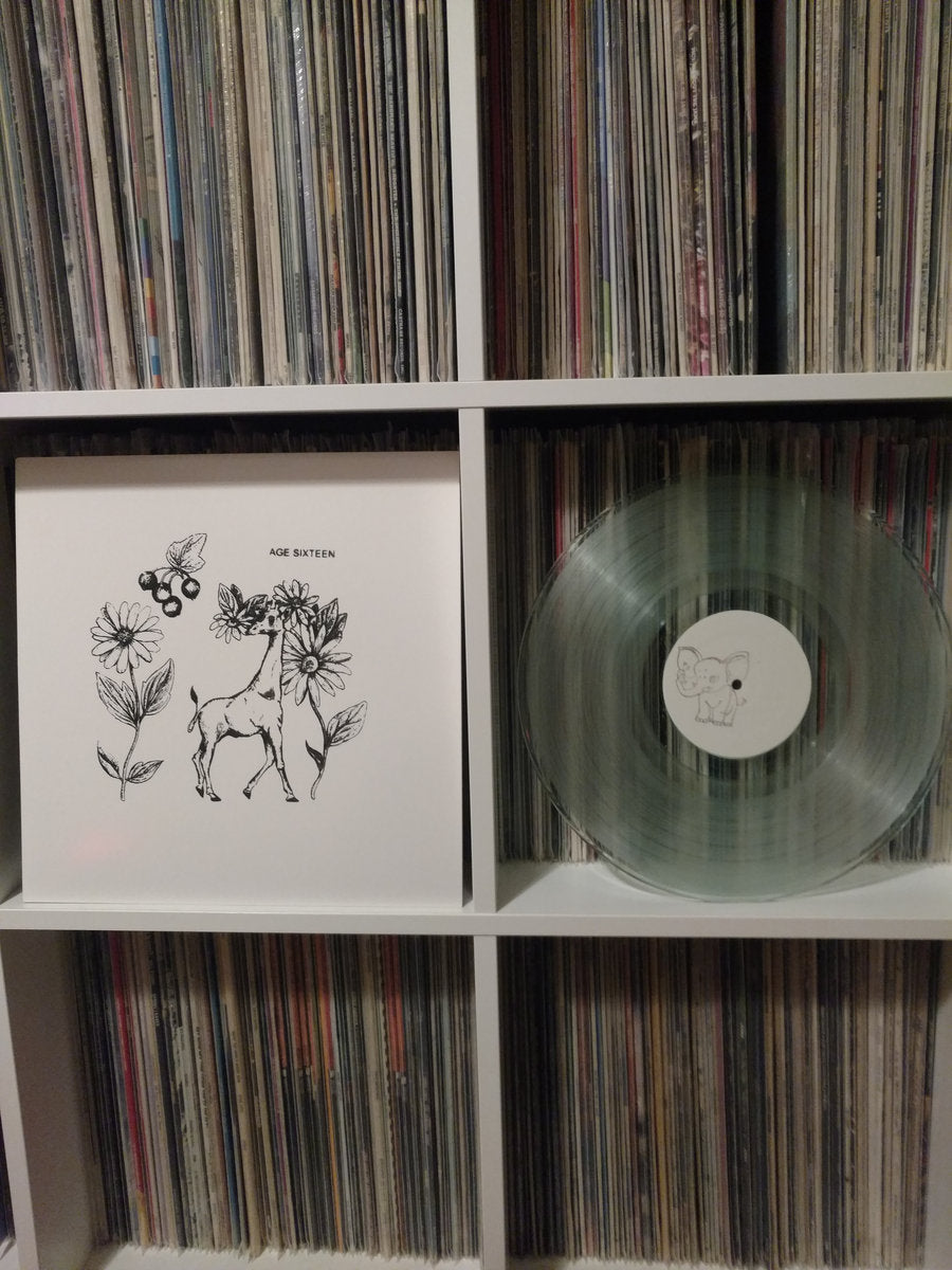 Age Sixteen - Discography Vinyl LP